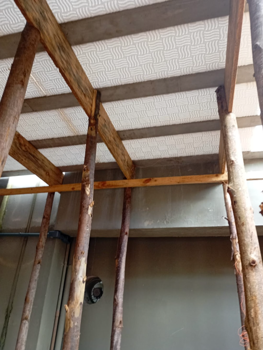 Captura de Tela 2026-03-25 às 17.37.29